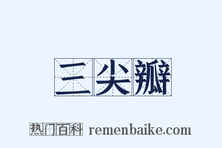 三尖瓣是什么意思的图片